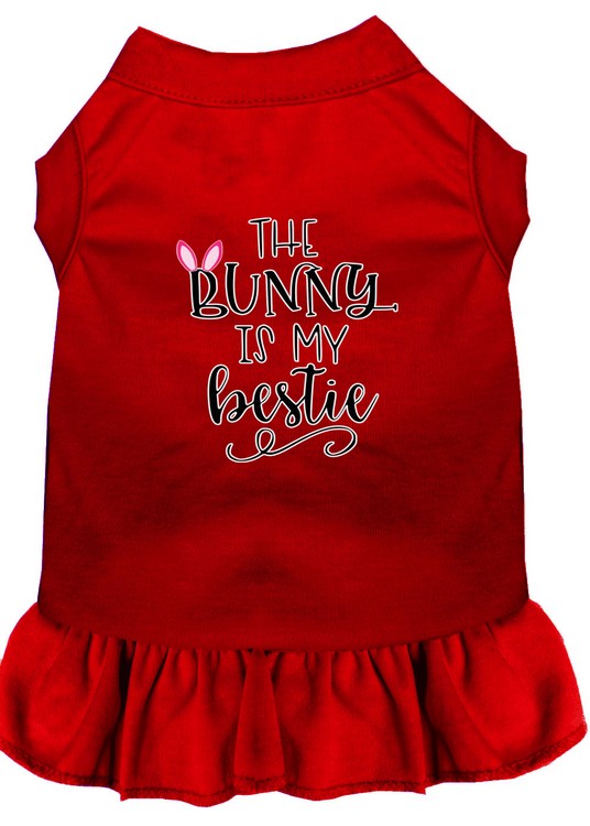 Bunny is my Bestie Screen Print Dog Dress Red Sm